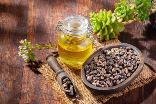 Discover the Natural Power of Castor Oil with Moe’s Group